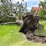 2021年台風16号の関東大被害！保険認定金減額されてませんか？