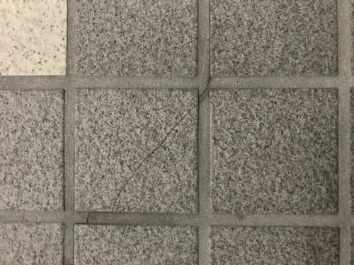 玄関タイルの割れも台風被害認定続出！台風救済センターならではの業