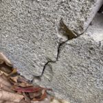 地震のクラックがいつの間にか。50年以上の家でも地震保険は使える