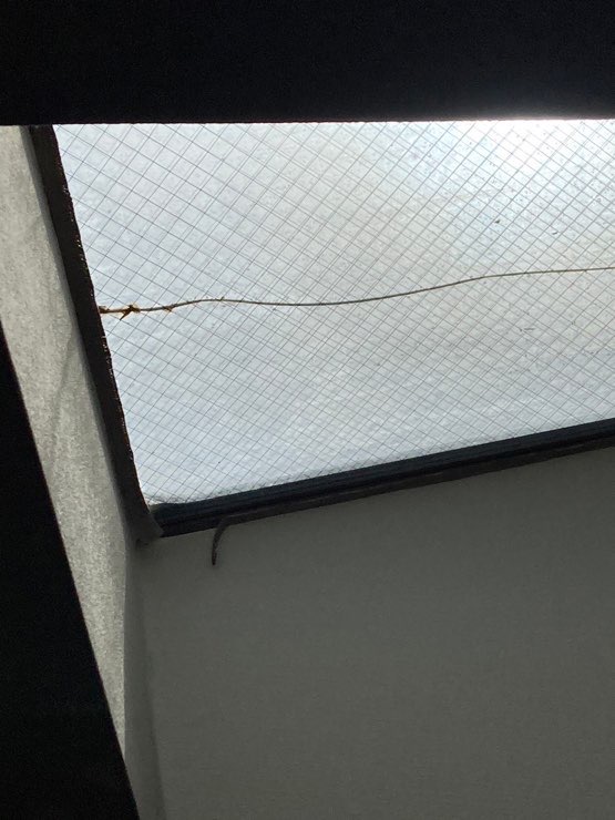 天窓が壊れたら火災保険で直せる!?意外にかかる天窓の費用は実費?