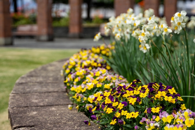 台風で門塀が壊れたら「建物の付属設備」は火災保険対象になる