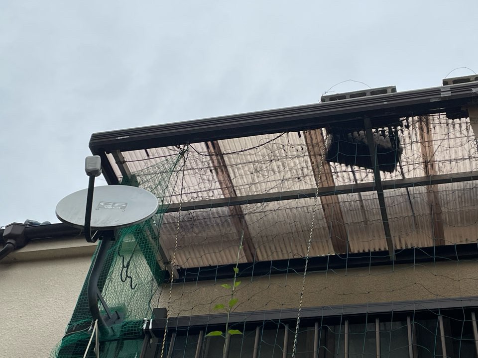 波板(トタン)だけだと思わず被害にあったら修理!他の被害もある