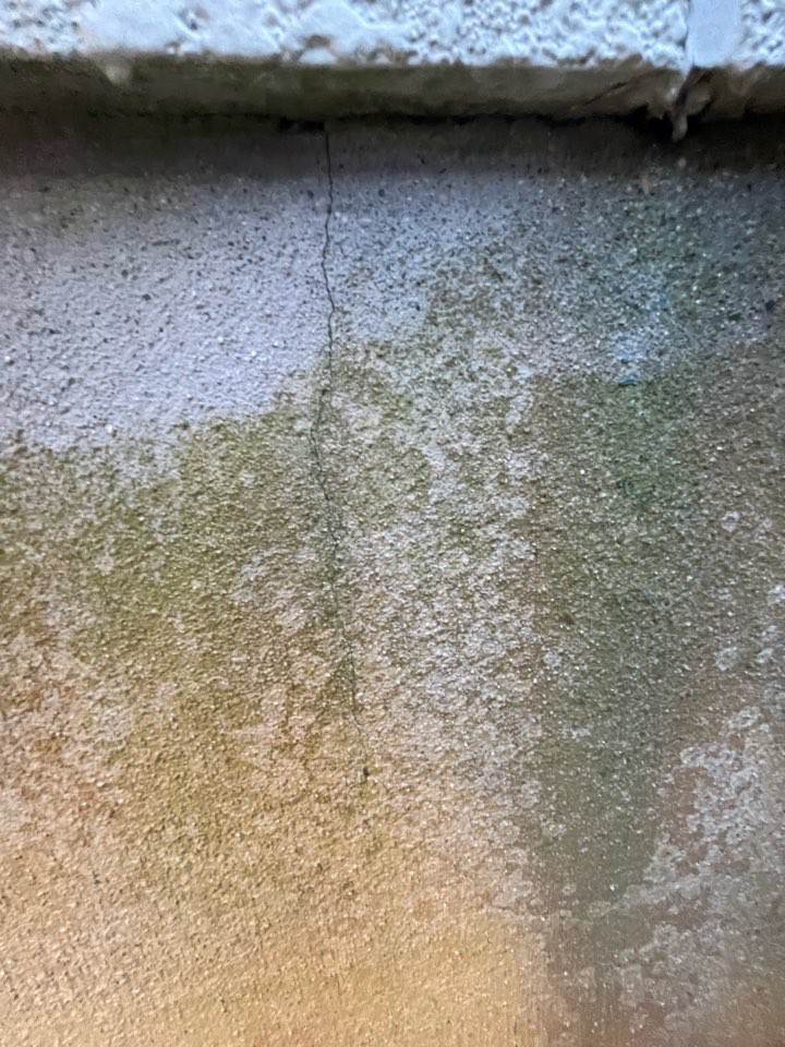 家を建てた後の定期点検は意味がない！？被害があっても報告なし