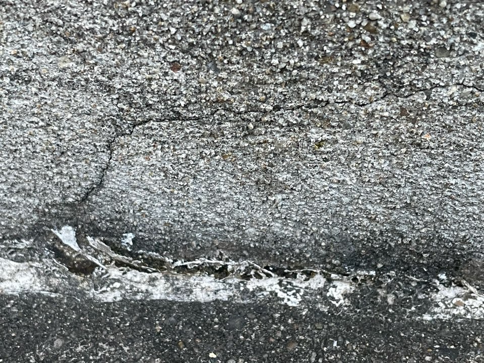 家を建てた後の定期点検は意味がない！？被害があっても報告なし